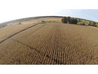 Property photo 7 - Southern Michigan Land Auction - 2 Auctions in 1 - 229+/- Acres and 66+/- Acres